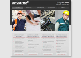 Site web Adgespro